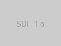 SDF-1 α
